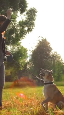 Parkta köpeğiyle oyun oynayan genç bir kız. Köpeğe tasma takıyor, bir parça yiyecek atıyor, köpek yakalıyor. Yavaş çekim günbatımı geniş çekim. Dikey çekim.