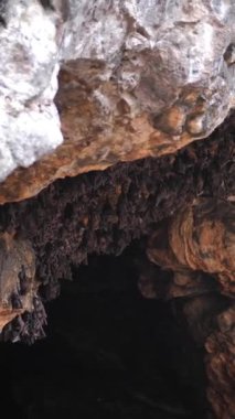 Kocaman bir küme, mağaradaki yarasa sürüsü. Bali adasında yarasalar. Ulusal dokunulmaz sembol. Dikey çekim.