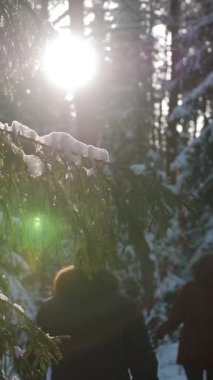 Bir grup arkadaş kış ormanı patikası boyunca yavaşça yürür. Eski arkadaşlarla sağlıklı ve ödüllendirici bir eğlence. Soğuk kış akşamı. Dikey çekim yok.