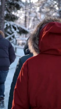 Bir grup arkadaş gün batımında bir kış ormanı patikasında yavaşça yürür. Eski arkadaşlarla sağlıklı ve ödüllendirici bir eğlence. Soğuk kış akşamı. El bilgisayarı ağır çekim. Dikey çekim.