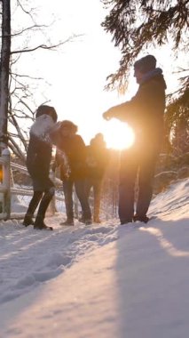 Bir grup mutlu yakın arkadaş gün batımında kış ormanında atlıyor. Kar taneciklerini havaya fırlatıp mutlu bir şekilde zaman geçiriyorlar. Dikey çekim.