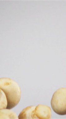 Mutfakta şampiyonlar var. Beyaz arka plana atılmış düğme mantarları havada asılı duruyor. 480 fps dikey çekim hızında çekilmiştir..