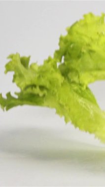 Phantom Flex 'e ağır çekimde izole edilmiş beyaz gri arka planda salata düşüyor ve sıçrıyor. Zıplayan taze yeşil yemek. Dikey Çekim.