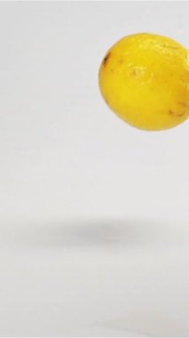 Çok az taze sarı lezzetli limon ıslak beyaz yüzeyde zıplar. Ağır çekim modunda yüksek hızlı kamerayla çekildi. beyaz siklonama arkaplanı izole edilmiş dikey çekim.