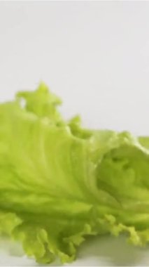 Makro yakın plan marul yeşili yapraklar ıslak ve lezzetli ıslak beyaz yüzeye düşüyor ve sıçrıyor süper hızlı kamera dikey çekim.