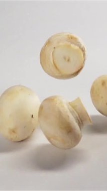 Çok az beyaz mantar şampiyonu kameradan beyaz masaya düşer ve ağır çekimde zıplar. Macro vuruldu. 500 fp. Yüksek hız kamerası Dikey Çekim.