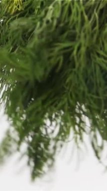 Havada sallanan bir sürü taze dereotu. Beyaz bg 'de süper yavaş çekim izole edildi. yüksek hızlı kamera dikey çekim.