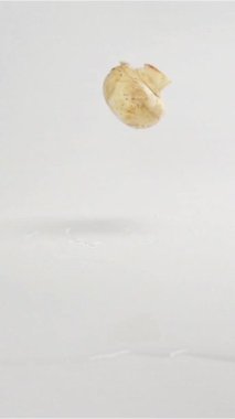 Birkaç mantar şampiyonu ıslak masa yüzeyine düşüp ağır çekimde zıplıyor. Püskürtme ve sıçratma. Dikey Çekim.