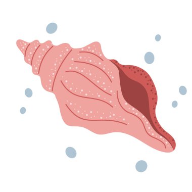 Çizgi film deniz kabuğu. Okyanus hayvanı. Egzotik su altı canlıları.