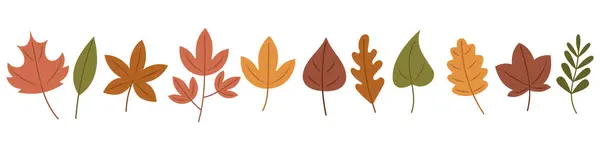 Sonbahar yaprakları. Şirin, rahat tasarım elementleri çizmiş. Sonbahar, Şükran Günü, yaprak düşüşü, altın mevsim