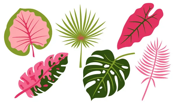 Tropik Botanik Yapraklar Seti. Egzotik Bitki Yaprakları Koleksiyonu, Renkli Orman Çiçeği, Dekoratif Yeşillik Elementleri, Yaz Yaprak Şekilleri, Düz Vektör Doğa Çizimi
