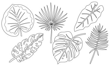 Tropikal Yaprak Taslak Koleksiyonu. Düzenlenebilir felç. Egzotik Orman Yaprakları, Çizgi Sanatı, Palmiye, Canavar, Muz, Botanik Elementler, Renk Sayfası, Siyah ve Beyaz, İzole Edilmiş Clipart