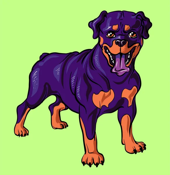 Rottweiler Dog Isolated Green Background Which Could Changed Small Purebred — Stockvector