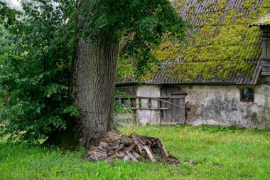 Çatısı yosun kaplı eski bir ahır.
