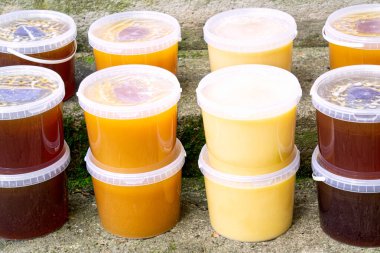 Evde farklı polen çiçeklerinden toplanmış taze bal dolu plastik kovalar.