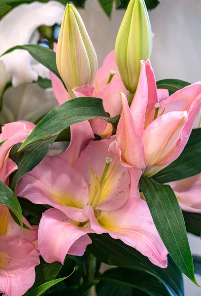 A huge bouquet of pink lilies with green leaves in a store