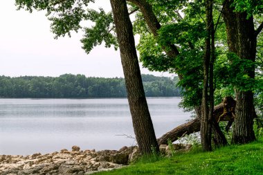 Letonya 'daki Daugava Nehri' nin güzel manzarası, Kegums 'a çok uzak değil.