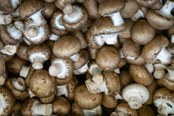 Brown champignons in a box at the market