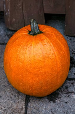 Güzel bir turuncu balkabağı sokağı süslüyor