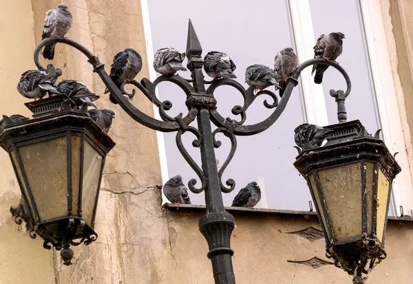 Old vintage street lighting in the Old Town of Krakow