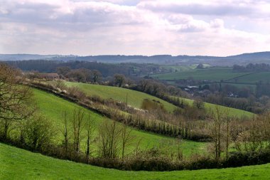 İngiltere, Devon, Avrupa 'daki yemyeşil tarlaların ve çayırların manzarası