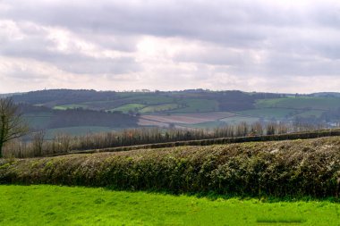 İngiltere, Devon, Avrupa 'daki yemyeşil tarlaların ve çayırların manzarası