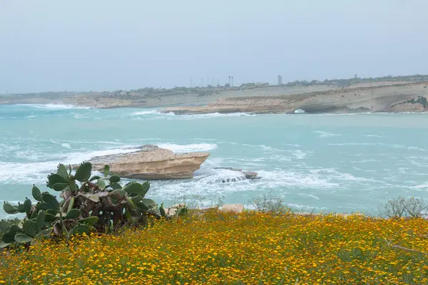 Malta 'yı çevreleyen bir fırtına Akdeniz' i dalgaları yakalamak ve sörf yapmak için mükemmel hale getiriyor.