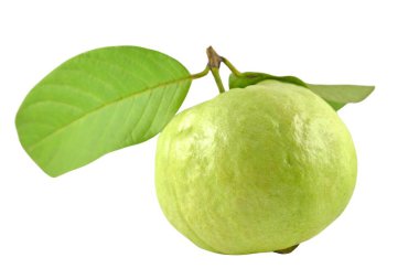 Beyaz arka plan üzerinde taze guava meyve