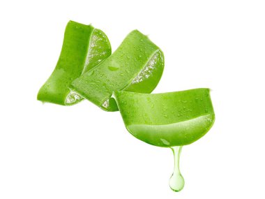 aloe vera taze yaprak beyaz izole