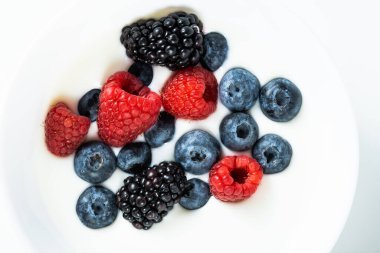 Yoğurtlu taze böğürtlen karışımı: ahududu, böğürtlen, beyaz arka planda yabanmersini.