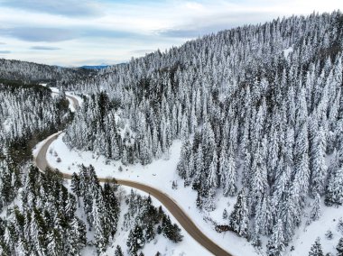 Golcuk - Bolu - Turkey, winter snow during snowfall. Travel concept drone photo. Highway, road in snowy tree landscape.
