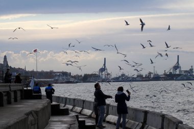 İstanbul - Türkiye, 22 Şubat 2022, Sahilde martıları besleyen insanların manzarası