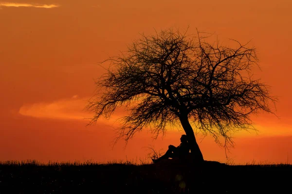 Depressiver Mann Sitzt Allein Unter Der Silhouette Eines Baumes Bei — Stockfoto