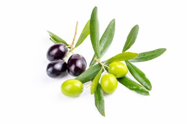 beyaz zemin üzerine taze yeşil zeytin