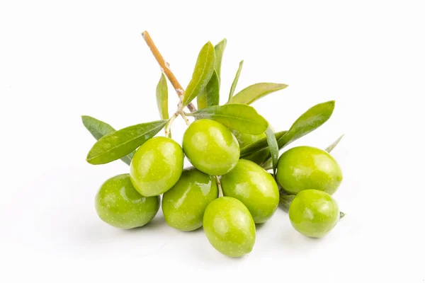 Olive Verdi Fresche Sullo Sfondo Bianco — Foto Stock
