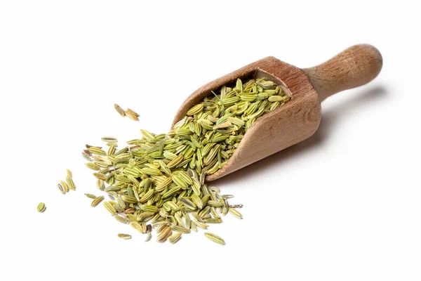 stock image Fennel seeds on the white background.