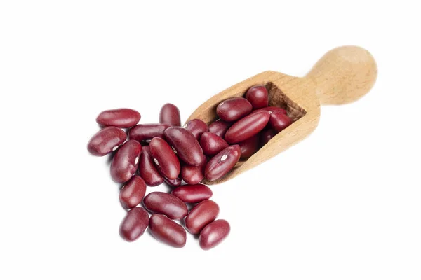 乾燥した小豆 白地の腎臓豆 — ストック写真