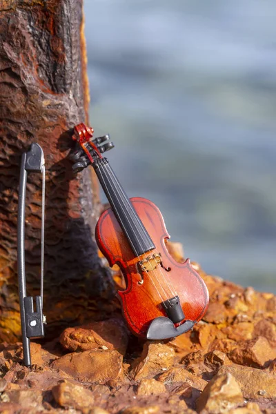 Violino Ferrugento Velho Metal Textura Mar Fundo — Fotografia de Stock