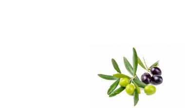 Beyaz arka planda yeşil organik zeytin