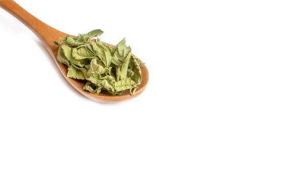 Salvia Offcinalis Зелений Чай Мудрецем Білому Тлі — стокове фото