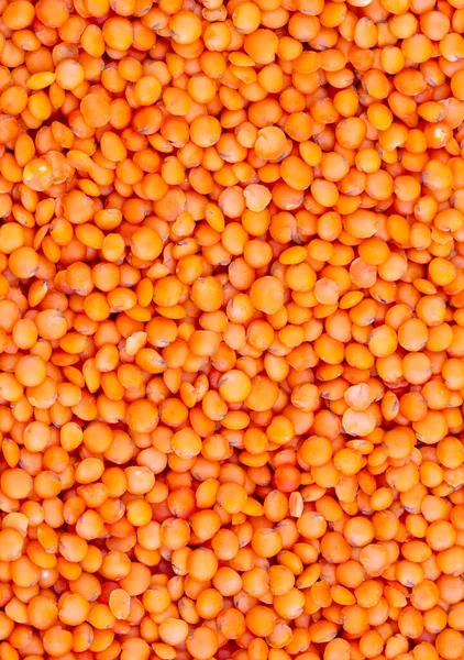 白い背景の赤いレンズ豆 — ストック写真