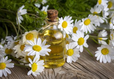 Ahşap arka planda beyaz papatya yağı