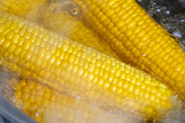 Kukorica Cob Forrásban Lévő Pot — Stock Fotó