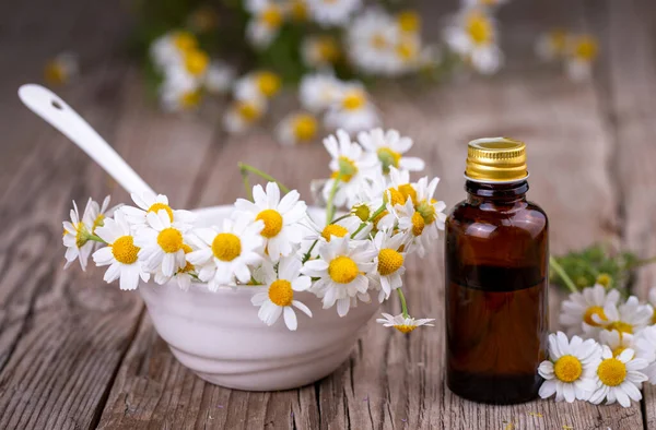 Aceite Esencial Botella Vidrio Con Flores Frescas Manzanilla Tratamiento Belleza —  Fotos de Stock