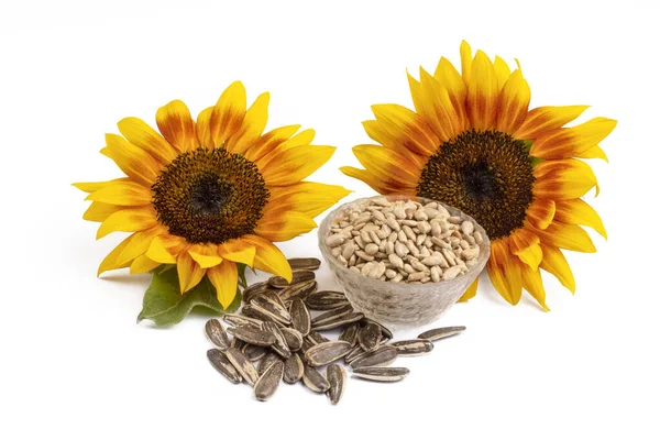 Sunflower Sunflower Seeds White Background — Stock Photo, Image