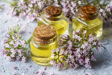 Şişede gerekli yağ ve çiçek açan kediotu bitkisi.