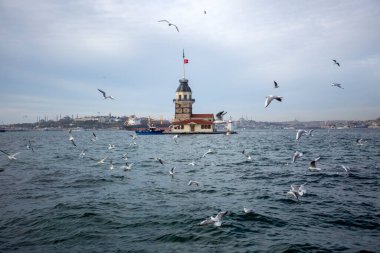 Bakire Kulesi (Kiz Kulesi) ve martılar, İstanbul - Türkiye