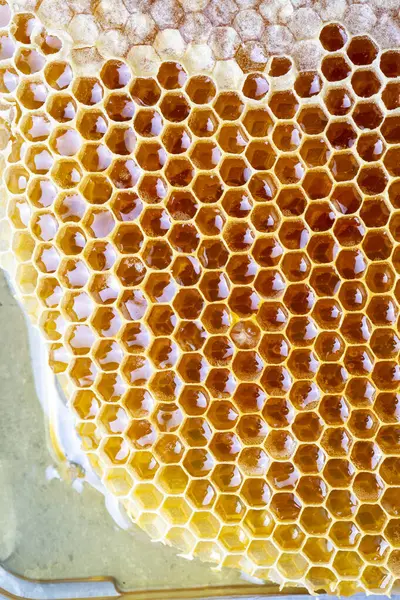 Sweet Honeycomb Isolated White Bee Products Organic Natural Ingredients Concept — Stockfoto
