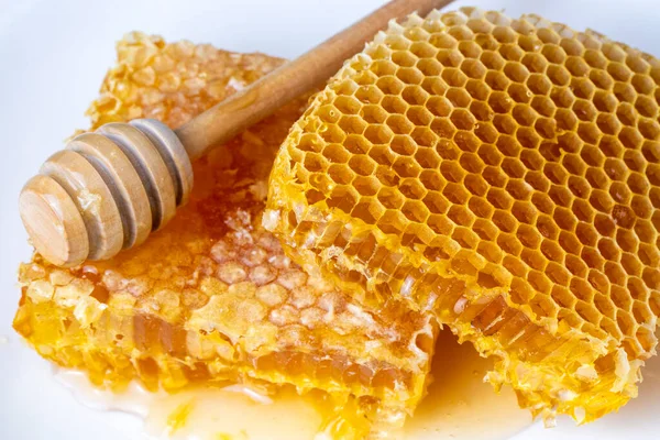 Sladké Voštinové Plástve Izolované Bílých Včelích Produktech Koncepcí Organických Přírodních — Stock fotografie
