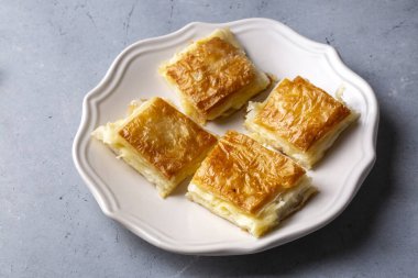 Lezzetli Türk tepsisi pastası, peynirli su boregi. Adana borek.